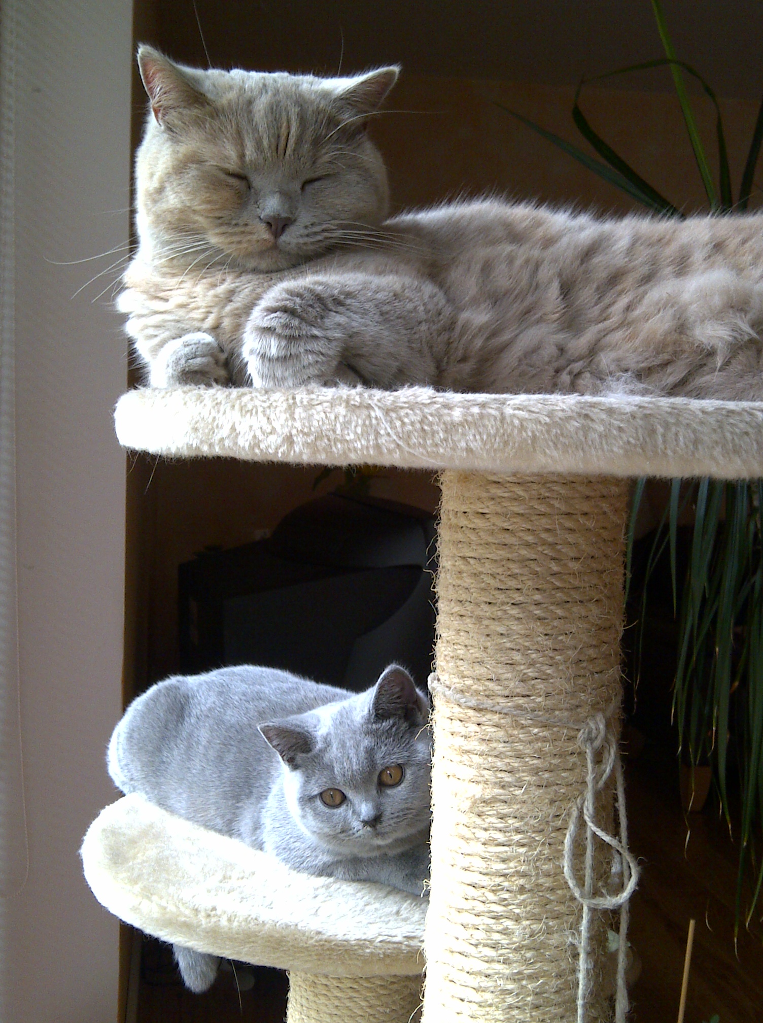 Beanie und Xenia